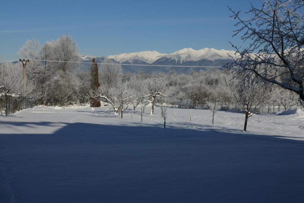 Skipension Jasna Pavčina Lehota Dış mekan fotoğraf